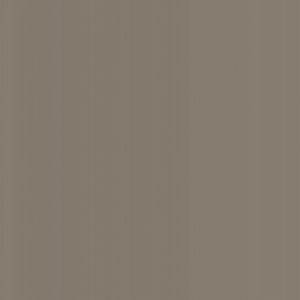 Lucky Taupe by Norbar Designer Fabric LUCKY 100% POLYURETAHNE CHINA 54 - Swanky Fabrics -