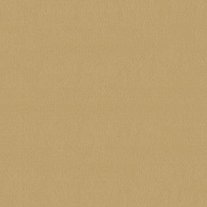 Lumina 004 Champagne by ABBEYSHEA Fabric