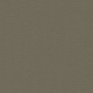 Lunar Medium Neutral 100 by Ship to Shore Fabric
