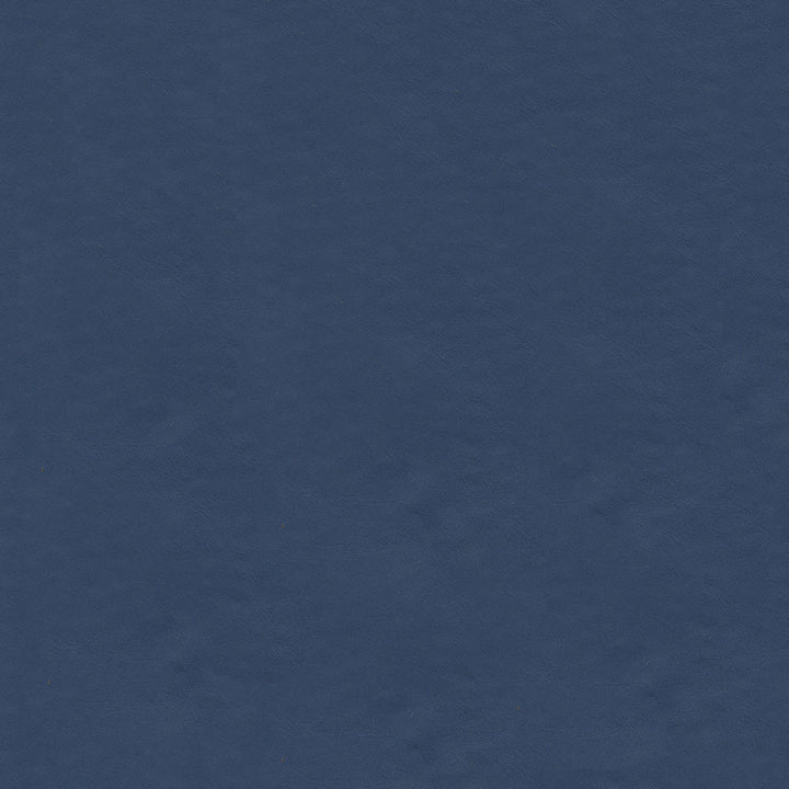 Lunar Military Blue 1200 by Ship to Shore Fabric 100% Polyvinyl Chloride (PVC) China 50,000 Double Rubs (Wyzenbeek) </p><p>Repeat: Horizontal: and Vertical: 54" (137 cm) - Fabric Carolina -