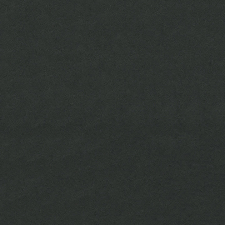 Lunar Black 400 by Ship to Shore Fabric 100% Polyvinyl Chloride (PVC) China 50,000 Double Rubs (Wyzenbeek) </p><p>Repeat: Horizontal: and Vertical: 54" (137 cm) - Fabric Carolina -