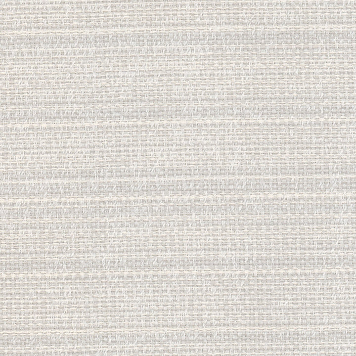 Lupine 2 Ash by Stout Fabric LIVING IS EASY GREY/SLATE 83%POL 17%PLO USA Horizontal: 0.000 and Vertical: 0.000 54 in - Fabric Carolina -