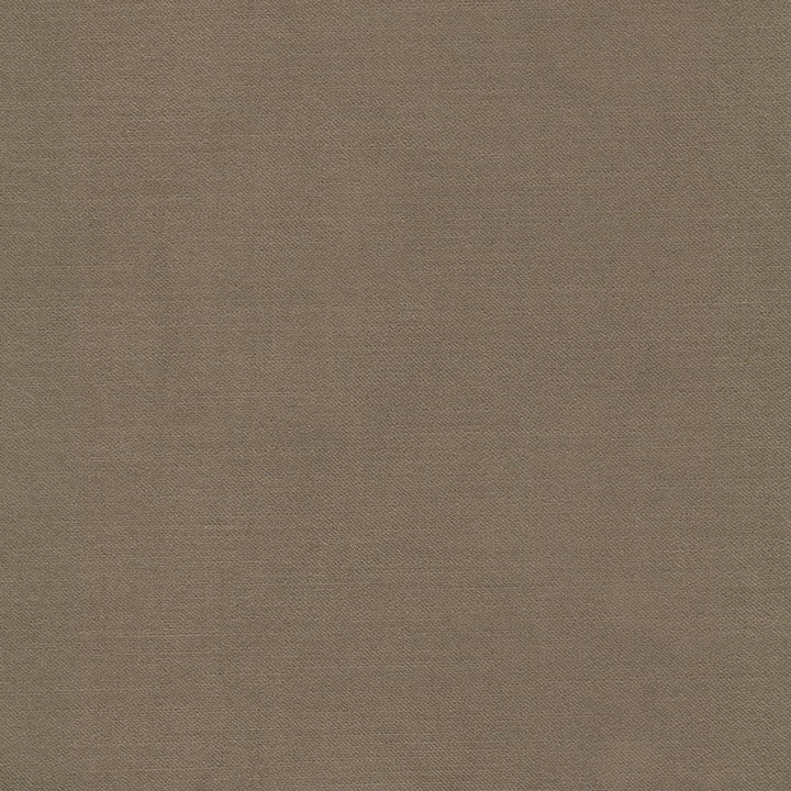 Luxor 10 Toffee by Stout Fabric Stout Fabric Luxor 10 ToffeeFabric SOLID VELVETS PLUSH PALETTE 100%POL TURKEY </p><p>Repeat: H: 0.000, V: 0.000 55 in - Fabric Carolina -