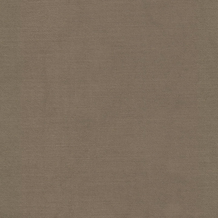Luxor 10 Toffee by Stout Fabric Stout Fabric Luxor 10 ToffeeFabric SOLID VELVETS PLUSH PALETTE 100%POL TURKEY </p><p>Repeat: H: 0.000, V: 0.000 55 in - Fabric Carolina -