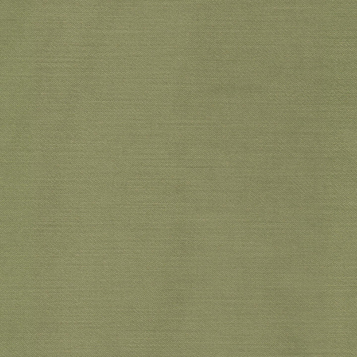 Luxor 3 Sage by Stout Fabric Stout Fabric Luxor 3 SageFabric RAINBOW LIBRARY PEAR/JUNGLE 100%POL TURKEY </p><p>Repeat: H: 0.000, V: 0.000 55 in - Fabric Carolina -