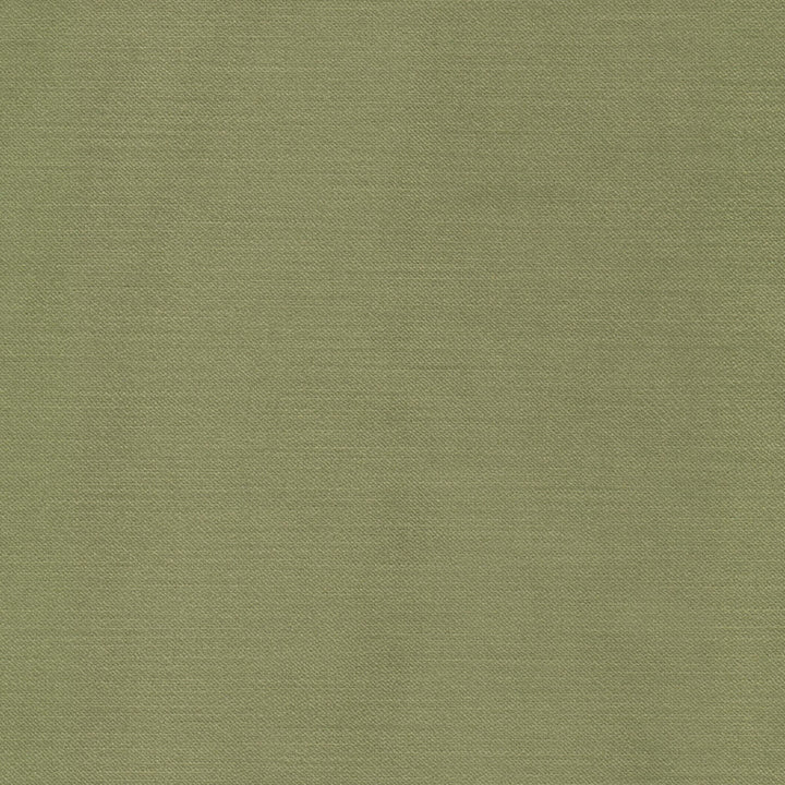 Luxor 3 Sage by Stout Fabric Stout Fabric Luxor 3 SageFabric Rainbow Library Pear/Jungle 100%Pol Turkey </p><p>Repeat: H: 0, V: 14.25 55 in - Fabric Carolina -
