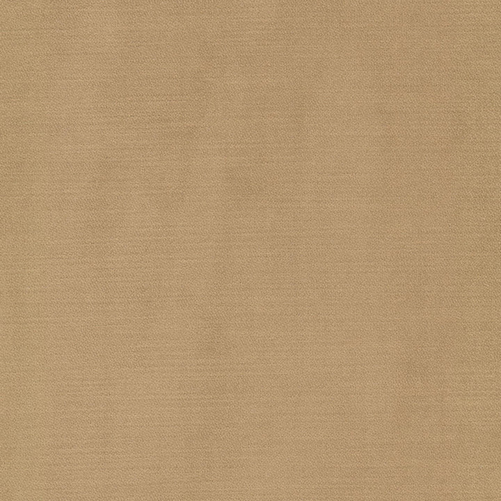 Luxor 6 Caramel by Stout Fabric Stout Fabric Luxor 6 CaramelFabric Solid Velvets Plush Palette 100%Pol Turkey </p><p>Repeat: H: 0, V: 4.5 55 in - Fabric Carolina -