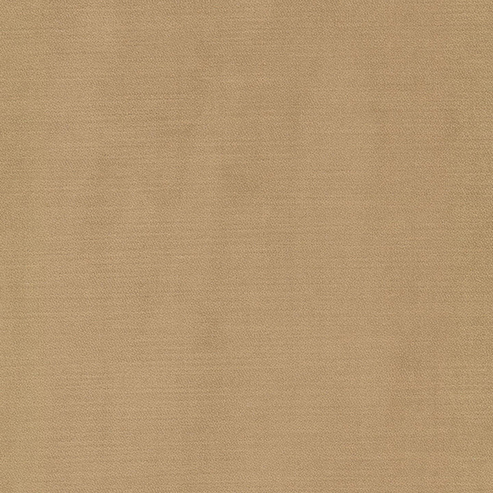 Luxor 6 Caramel by Stout Fabric Stout Fabric Luxor 6 CaramelFabric SOLID VELVETS PLUSH PALETTE 100%POL TURKEY </p><p>Repeat: H: 0.000, V: 0.000 55 in - Fabric Carolina -
