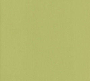 Luxor Celery by Norbar Fabric LUXOR 100% COMBED COTTON INDIA 54 - Fabric Carolina -
