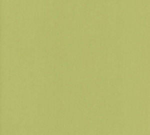Luxor Celery by Norbar Fabric