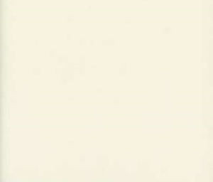 Luxor Cream by Norbar Fabric LUXOR 100% COMBED COTTON INDIA 54 - Fabric Carolina -