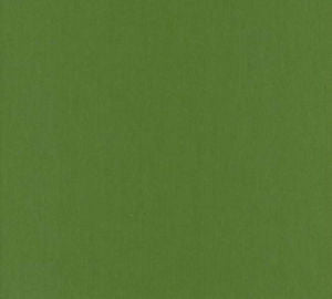 Luxor Kelly by Norbar Designer Fabric LUXOR 100% COMBED COTTON INDIA 54 - Swanky Fabrics -