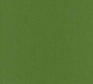 Luxor Kelly by Norbar Fabric LUXOR 100% COMBED COTTON INDIA 54 - Fabric Carolina -