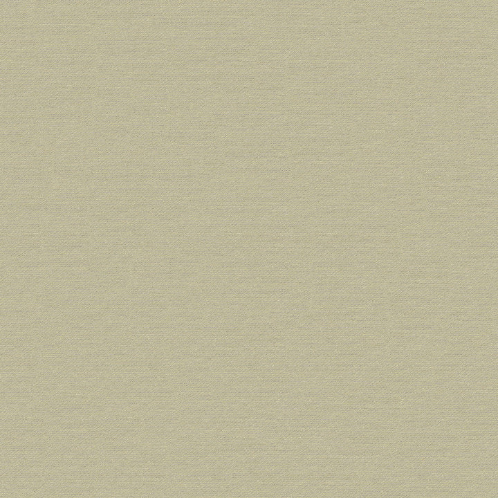 Luxury 808 Champagne by ABBEYSHEA Fabric 95% Polyester
5% Cotton TR </p><p>Repeat: Horizontal: and Vertical: 118 in. (300 cm) - Fabric Carolina -