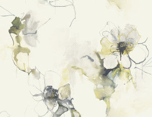 Anemone Watercolor Floral Dark Ash and Canary by Seabrook Wallpaper