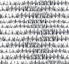Brush Marks Black and White LW51800 by Seabrook Designs Wallpaper