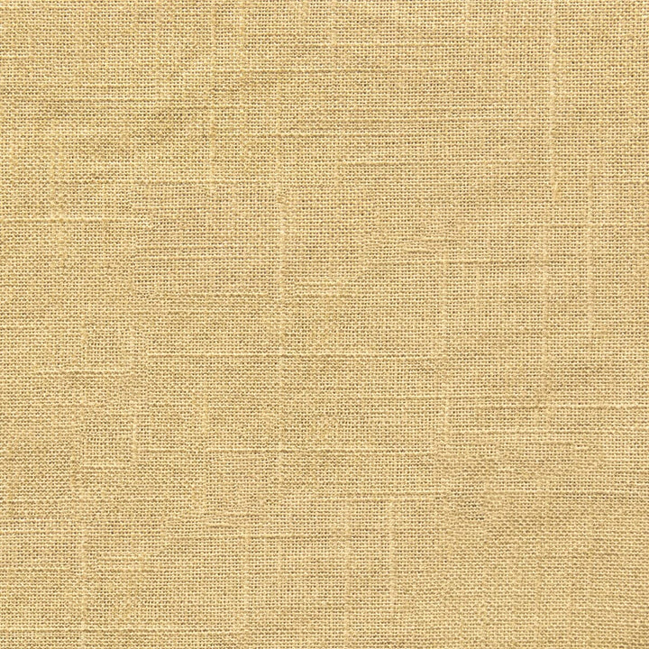 Lydia 1 Gold by Stout Fabric RAINBOW LIBRARY MICA/BRONZE 55%LIN 45%COT CHINA WYZENBEEK 10 000 DOUBLE RUB WEAR TEST (MEDIUM DUTY) Horizontal: 0 and Vertical: 0 55 in - Fabric Carolina -