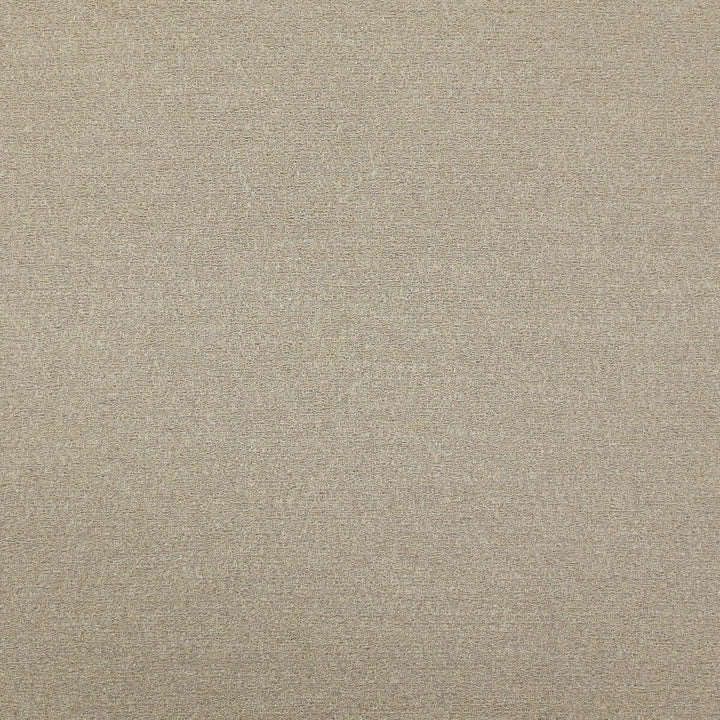Fume 16 by Kravet Design Fabric LIZZO VISCOSE - 40%;POLYAMIDE - 29%;COTTON - 17%;POLYESTER - 14% Spain HEAVY Horizontal: and Vertical: 53 - Fabric Carolina -