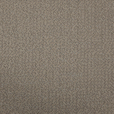 LZ-30203.08.0 by Kravet Fabric Kravet Fabric LZ-30203.08.0Fabric LIZZO POLYAMIDE - 42%;LINEN - 25%;POLYESTER - 25%;ACRYLIC - 8% Spain </p><p>Repeat: H: , V: 53 - Fabric Carolina -
