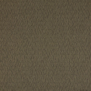 Earth 3 by Kravet Design Fabric