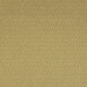 Earth 5 by Kravet Design Fabric