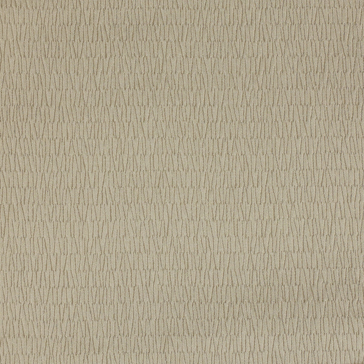 Earth 6 by Kravet Design Fabric Kravet Design Fabric Earth 6Fabric LIZZO POLYAMIDE - 52%;COTTON - 31%;POLYACRYLIC - 17% Spain </p><p>Repeat: H: 0, V: 0 52.75 - Fabric Carolina -