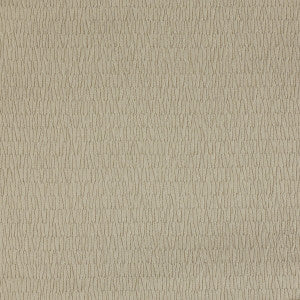 Earth 6 by Kravet Design Fabric