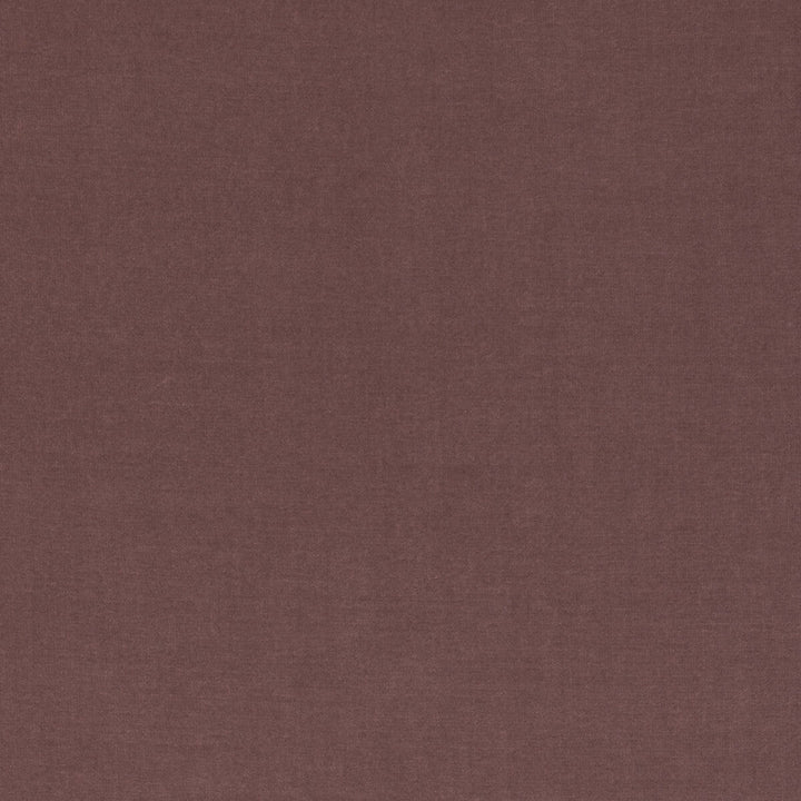 Eternal 12 by Kravet Design Fabric Kravet Design Fabric Eternal 12Fabric LIZZO COTTON - 100% Spain </p><p>Repeat: H: 0, V: 0 55 - Fabric Carolina -