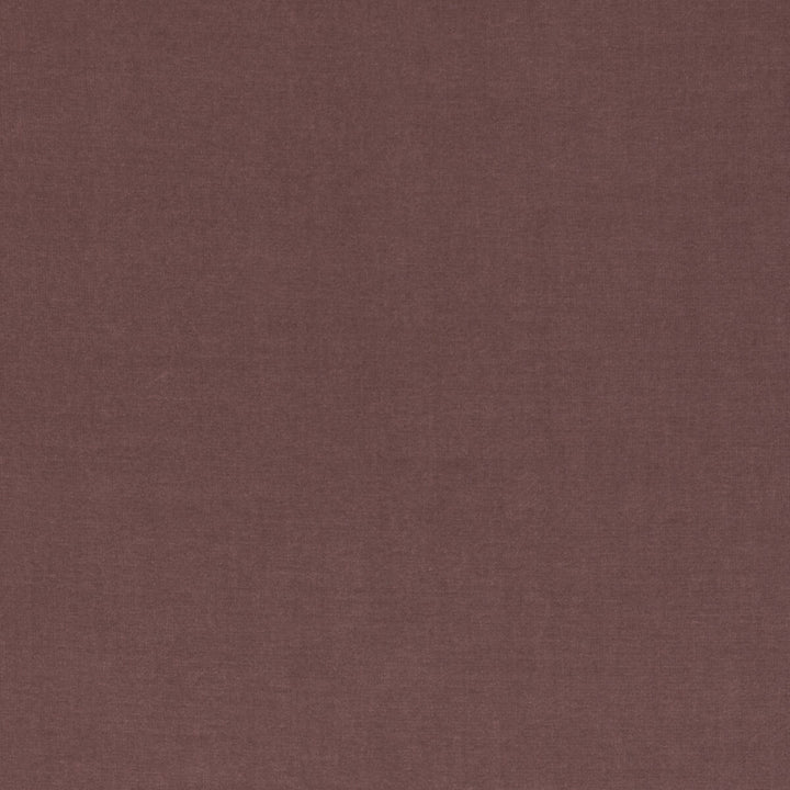 Eternal 12 by Kravet Design Fabric LIZZO COTTON - 100% Spain HEAVY Horizontal: 0 and Vertical: 0 55 - Fabric Carolina -
