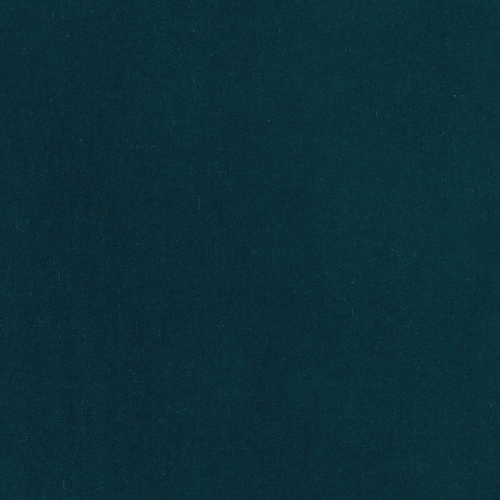 Eternal 14 by Kravet Design Fabric LIZZO COTTON - 100% Spain HEAVY Horizontal: 0 and Vertical: 0 55 - Fabric Carolina -