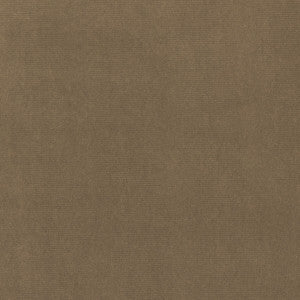 Eternal 26 by Kravet Design Fabric
