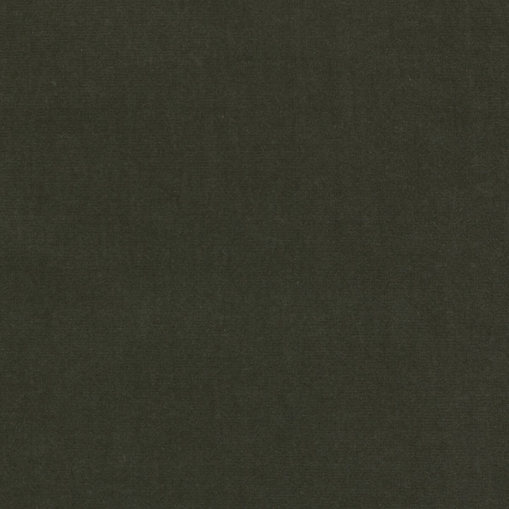 Eternal 29 by Kravet Design Fabric LIZZO COTTON - 100% Spain HEAVY Horizontal: 0 and Vertical: 0 55 - Fabric Carolina -