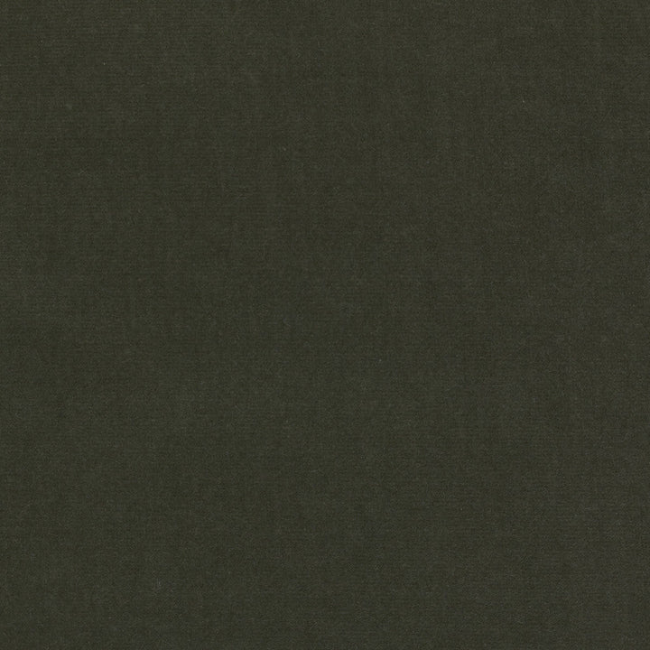 Eternal 29 by Kravet Design Designer Fabric LIZZO COTTON - 100% Spain HEAVY Horizontal: 0 and Vertical: 0 55 - Swanky Fabrics -