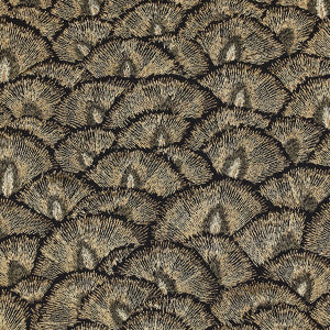 Proud 5 by Kravet Design Fabric