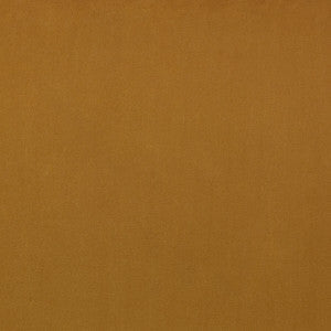 Guru 5 by Kravet Design Fabric