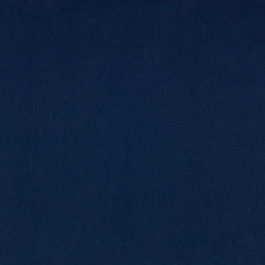 Guru 14 by Kravet Design Fabric