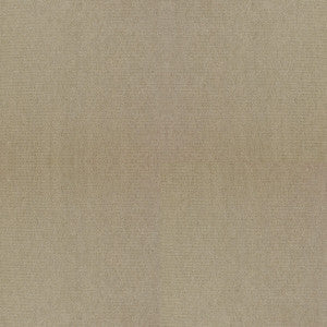 Guru 16 by Kravet Design Fabric