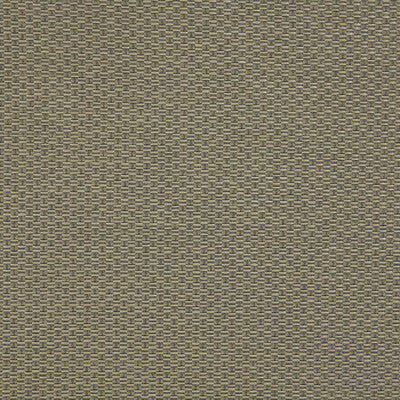 LZ-30362.09.0 by Kravet Fabric Kravet Fabric LZ-30362.09.0Fabric LIZZO POLYACRYLIC - 63%;POLYESTER - 20%;VISCOSE - 12%;COTTON - 5% Spain </p><p>Repeat: H: 0, V: 0 53.93 - Fabric Carolina -