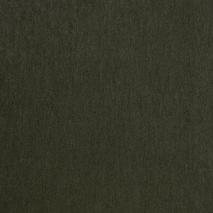 Livorno 43 LZ-30379.43.0 by Kravet Design Fabric