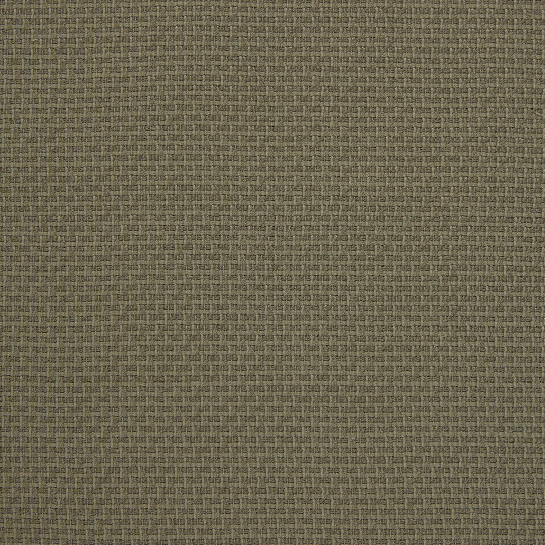 Lezna - 01 By Kravet Design Fabric