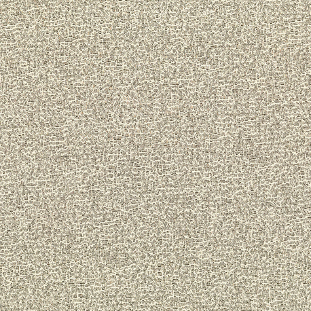 Elephas - 06 By Kravet Couture Fabric