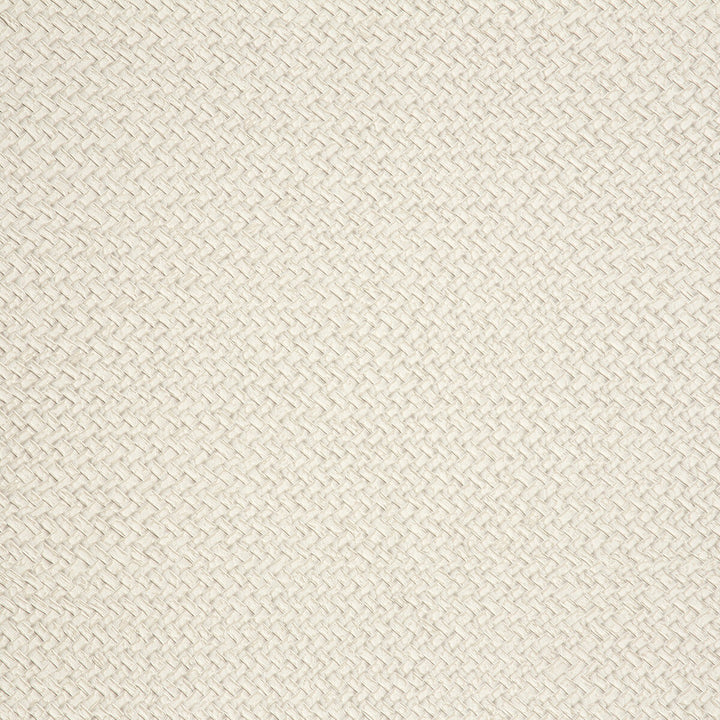 Cesto 7 by Kravet Design Wallcovering LIZZO SYNTHETIC - 80%;NATURAL PRODUCTS - 20% Spain Horizontal: 27.5 and Vertical: 27.5 27.5 - Fabric Carolina -
