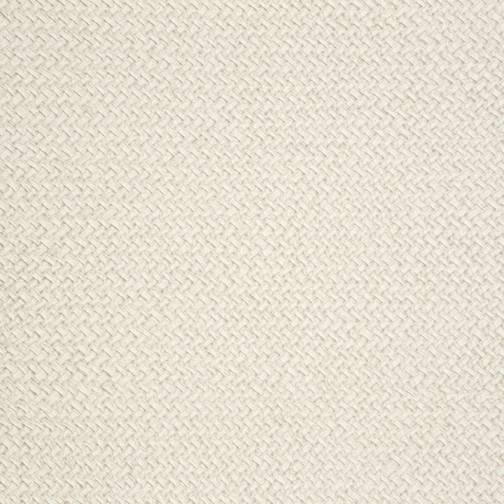 Cesto 7 by Kravet Design Designer Wallcovering LIZZO SYNTHETIC - 80%;NATURAL PRODUCTS - 20% Spain Horizontal: 27.5 and Vertical: 27.5 27.5 - Swanky Fabrics -