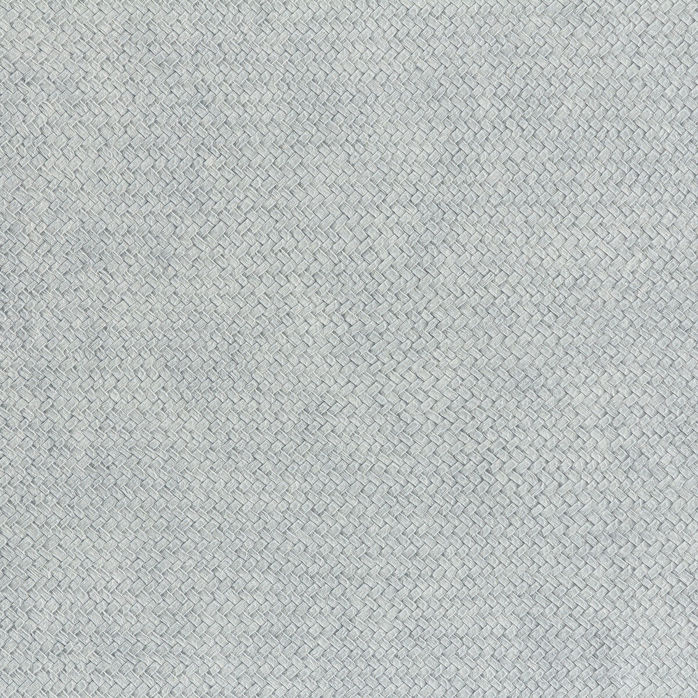 Cesto 9 by Kravet Design Wallcovering LIZZO SYNTHETIC - 80%;NATURAL PRODUCTS - 20% Spain Horizontal: 27.5 and Vertical: 27.5 27.5 - Fabric Carolina -