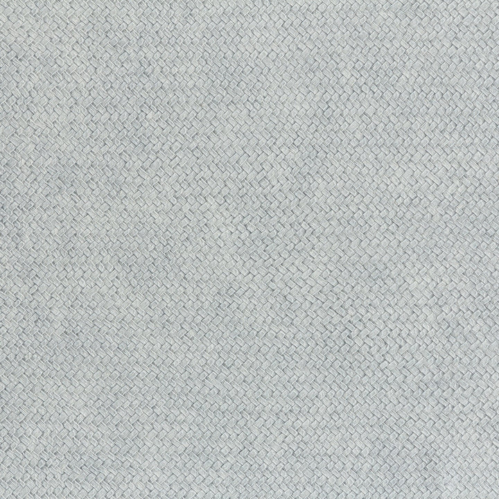 Cesto 9 by Kravet Design Wallcovering LIZZO SYNTHETIC - 80%;NATURAL PRODUCTS - 20% Spain Horizontal: 27.5 and Vertical: 27.5 27.5 - Fabric Carolina -