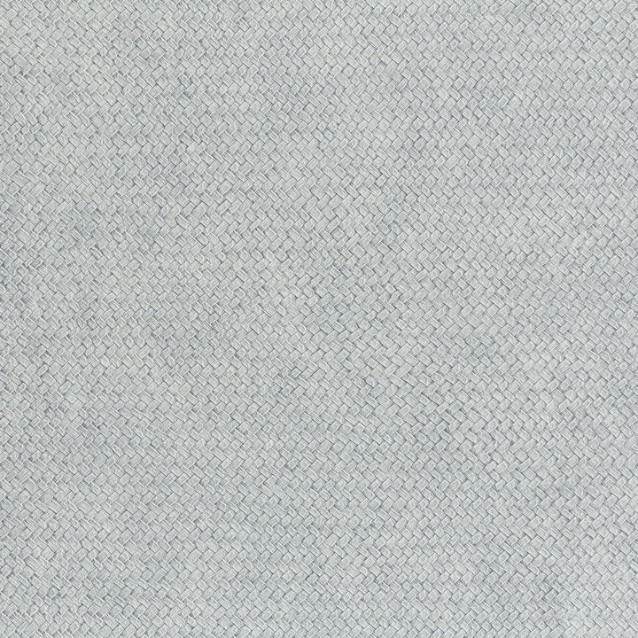 Cesto 9 by Kravet Design Designer Wallcovering LIZZO SYNTHETIC - 80%;NATURAL PRODUCTS - 20% Spain - Horizontal: 27.5 and Vertical: 27.5 27.5 - Swanky Fabrics -