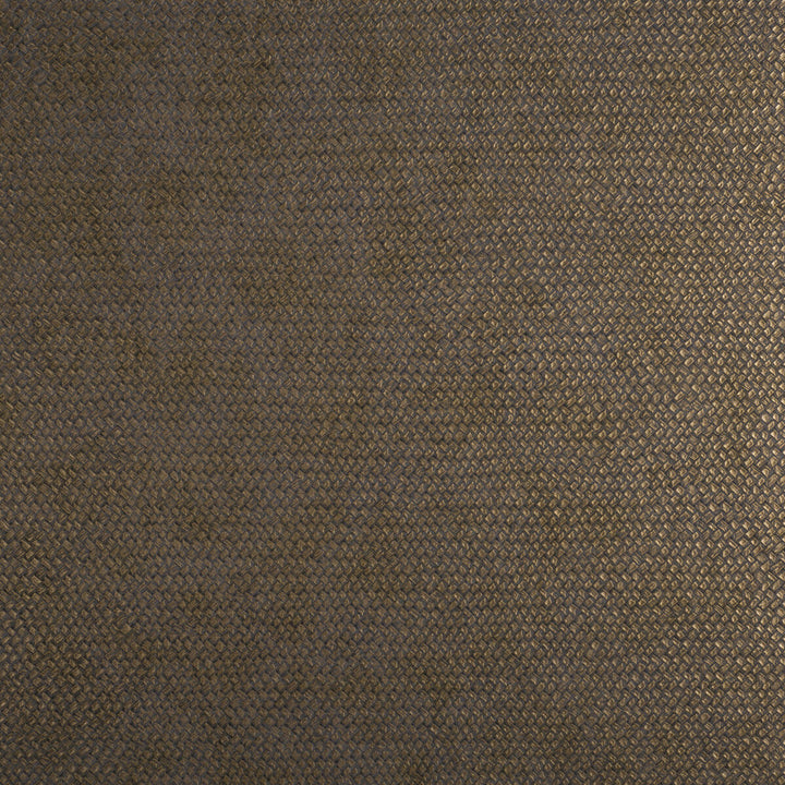 Cesto 21540 by Kravet Design Wallcovering LIZZO SYNTHETIC - 80%;NATURAL PRODUCTS - 20% Spain Horizontal: 27.5 and Vertical: 27.5 27.5 - Fabric Carolina -