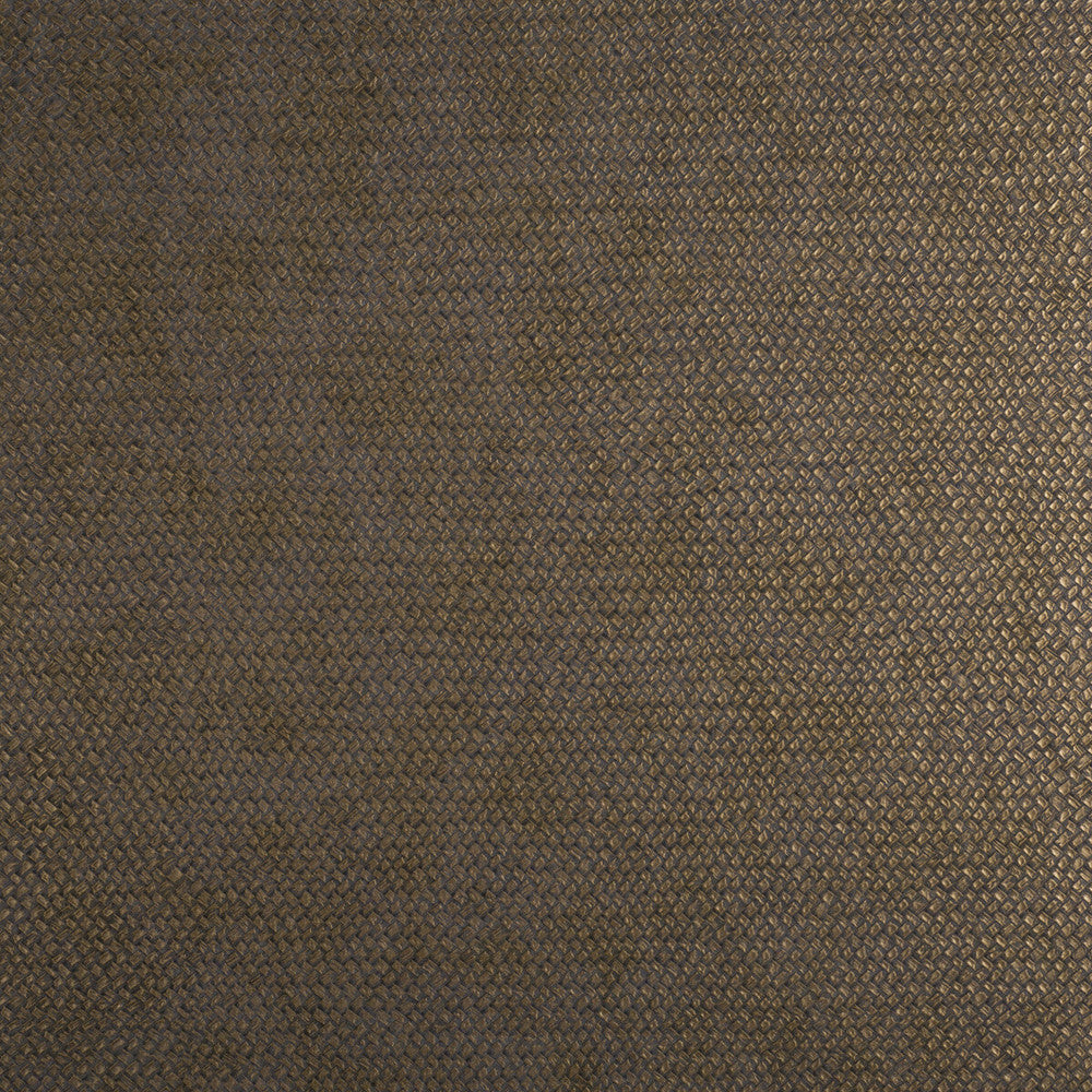 Cesto 21540 by Kravet Design Wallcovering LIZZO SYNTHETIC - 80%;NATURAL PRODUCTS - 20% Spain Horizontal: 27.5 and Vertical: 27.5 27.5 - Fabric Carolina -