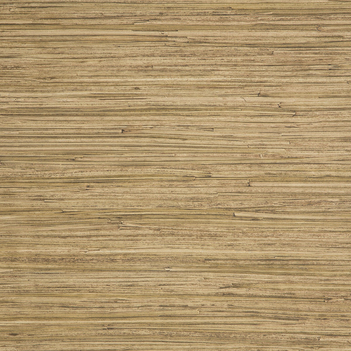 Enea 5 by Kravet Design Wallcovering LIZZO SYNTHETIC - 75%;NATURAL PRODUCTS - 25% Spain Horizontal: 27.6 and Vertical: 25.2 27.6 - Fabric Carolina -