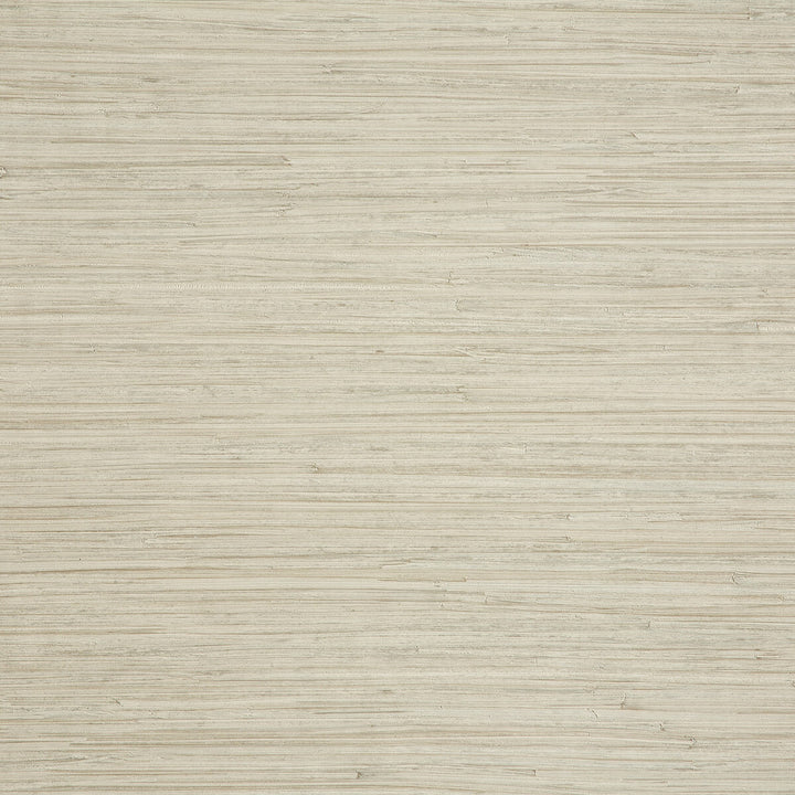 Enea 6 by Kravet Design Wallcovering LIZZO SYNTHETIC - 75%;NATURAL PRODUCTS - 25% Spain - Horizontal: 27.6 and Vertical: 25.2 27.6 - Fabric Carolina -